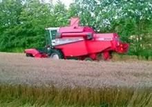 Cosechadoras Massey Ferguson MF 2045
