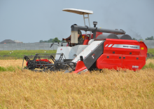 Cosechadoras Massey Ferguson MF 2168