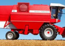 Cosechadoras Massey Ferguson MF 36 RS AL
