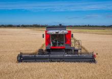 Cosechadoras Massey Ferguson MF 4690
