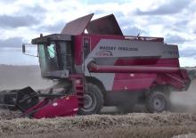 Cosechadoras Massey Ferguson MF 7274
