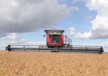 Cosechadoras Massey Ferguson MF 9895
