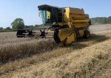 Cosechadoras New Holland TX 32