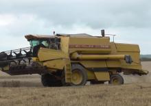 Cosechadoras New Holland TX 36