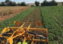 Cultivadores Agrisem Biomulch 9.00