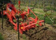 Cultivadores Maschio Pinocchio 130/3