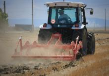 Cultivadores Maschio Pinocchio 250/5
