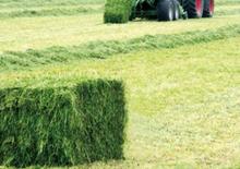 Empacadoras gigantes + de alta presión Krone Big Pack 1270 XC