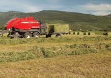 Empacadoras gigantes + de alta presión Massey Ferguson MF 2190 SP