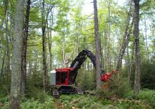 Excavadoras de orugas Tanguay TG370