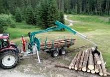Grúas de carga  para madera Pfanzelt 4282