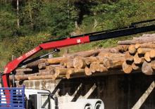 Grúas de carga hidráulicas Fassi F 120 B 0.22 e-active