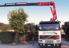 Grúas de carga hidráulicas Fassi F 190.22