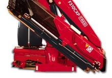 Grúas de carga hidráulicas Fassi F 310 ACXP 25