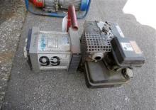 Grupos electrógenos diesel Endress ESE 30 YW/MS