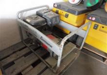Grupos electrógenos, gasolina Eisemann E 4000