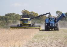 Cosechadoras – mecanismo de corte New Holland 720CG 13FT
