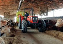 Mezcladores de pienso Storti Husky DS 160