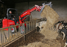 Mini cargador frontal Schäffer 2345 T