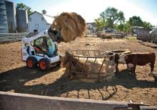 Minicargadoras Bobcat S590