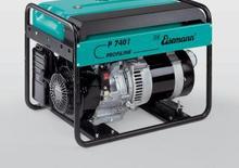 Grupos electrógenos, gasolina Eisemann P 7401