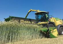 Picadoras - tracción 2 ruedas Krone BiG X 630