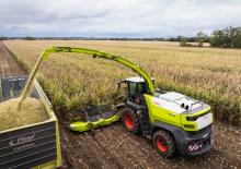 Picadoras - tracción 4 ruedas Claas Jaguar 1200