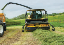 Cosechadoras – pick up New Holland 300 FP STD Paddles