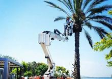 Plataformas articuladas de orugas Easy Lift R190BA