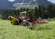 Rastrillos henificadores Pöttinger AlpinHit 4.4 H 