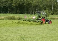 Rastrillos henificadores Krone KW 9.02/8 T