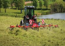 Rastrillos henificadores Massey Ferguson TD868 DN