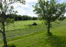 Rastrillos henificadores Claas Volto 1500 T 