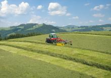 Rastrillos rotativos Fella TS 351 DS