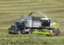 Picadoras - tracción 4 ruedas Claas Jaguar 900