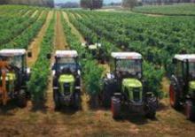 Tractores - tracción 4 ruedas Claas Nectis 267 VL
