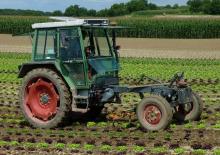 Tractores - tracción 2 ruedas Fendt F 360 GTF