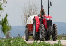 Tractores - tracción 2 ruedas Massey Ferguson MF 2615