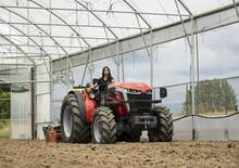Tractores - tracción 4 ruedas Massey Ferguson MF 3GE.85 