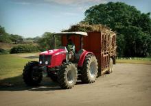 Tractores - tracción 4 ruedas Massey Ferguson MF 5455 Freisicht