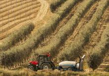 Tractores - tracción 4 ruedas Case IH Quantum 80 CL Rops