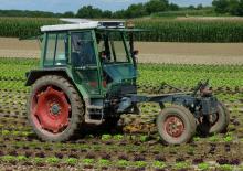 Tractores - tracción 2 ruedas Fendt F 360 GT