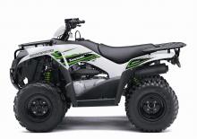 Vehículos todo terreno & Quads Kawasaki BRUTE FORCE 300