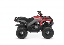 Vehículos todo terreno & Quads Yamaha GRIZZLY 110