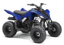 Vehículos todo terreno & Quads Yamaha RAPTOR 90 