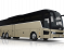 T17 ACRON